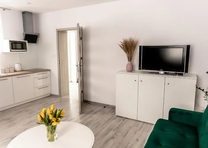 Apartament Pod Lasem Апартаменты