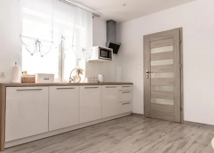 Apartament Pod Lasem Олджиховице-Клодзке