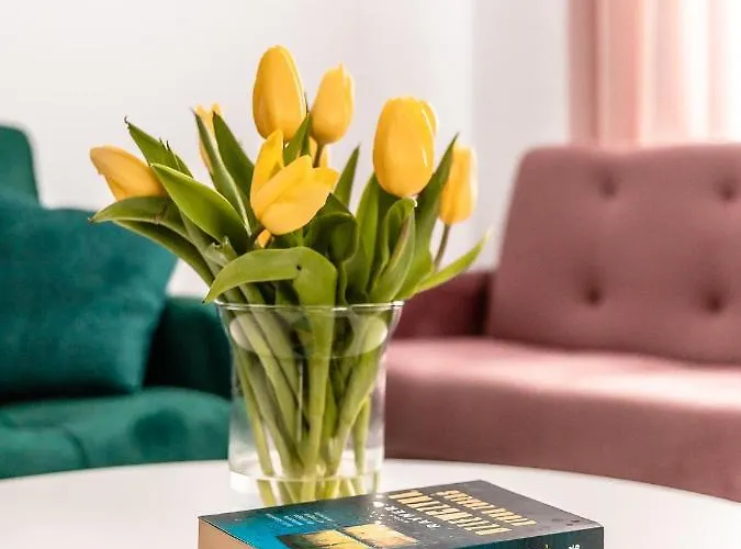 Apartament Pod Lasem Олджиховице-Клодзке